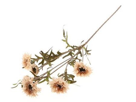 Stem Daisy L80