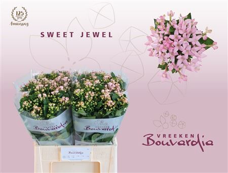 Bou En Sweet Jewel