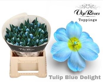 Tu En A Blue Delight