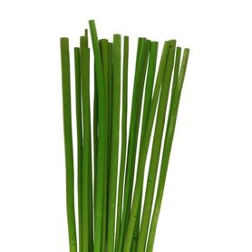 Bambù stelo 100cm x20