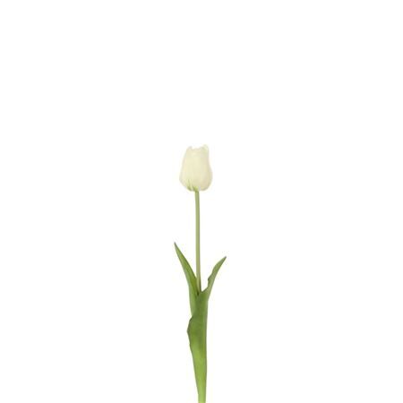 Tulipa 46cm