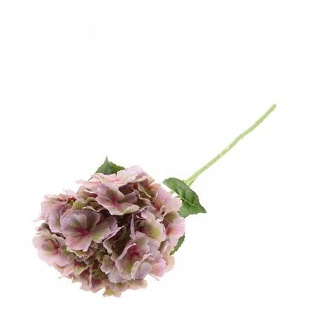Hydrangea 80cm