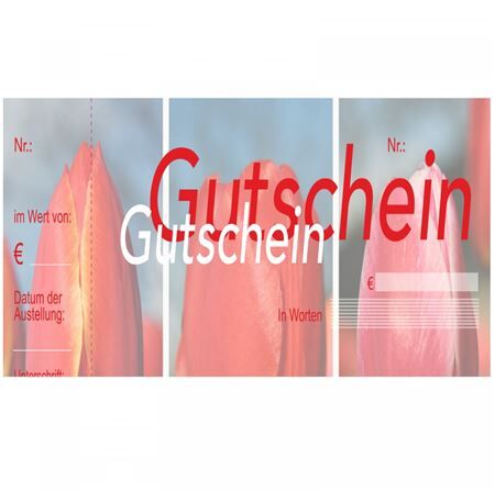 Gift voucher D 15*10cm x50