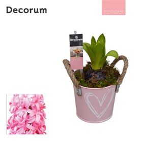 Hya Hl10774pp Bucket Mini