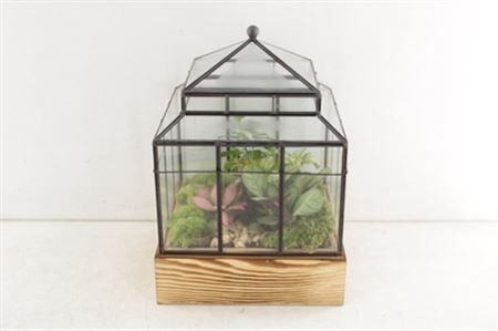 Arr3 Wa Terraium - Wardians Case One