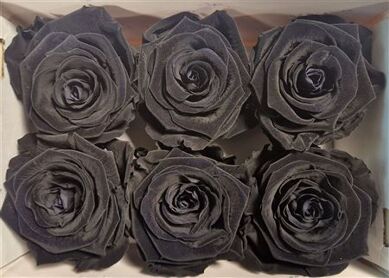 Ro Pres Classic Black