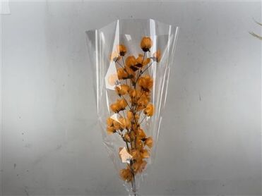 Dried Bougainvillea X5 55cm Orange Bunch
