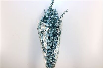 Pres Euca Baby Blue Metal Blue Bunch