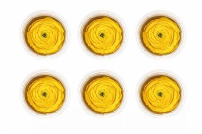 Ran Pres Yellow