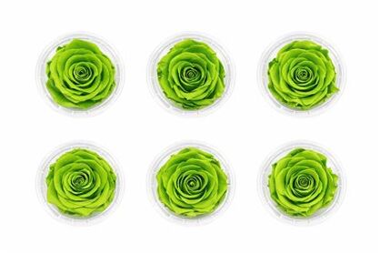 Ro Pres Classic Green Lime