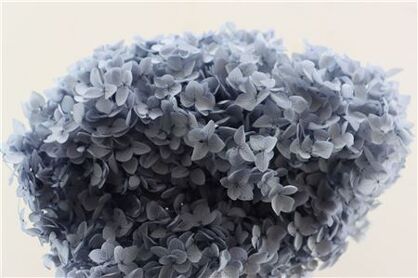 Pres Hydrangea Bluegrey Bunch
