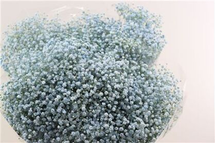 Gyps Grof Baby Blue (dip)