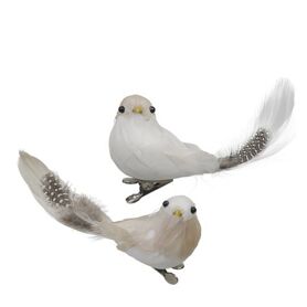 Bird/clip d12cm