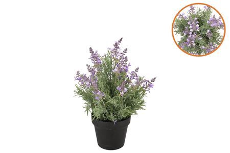 Silk Lavender Purple In Pot Black S 13x13x22cm