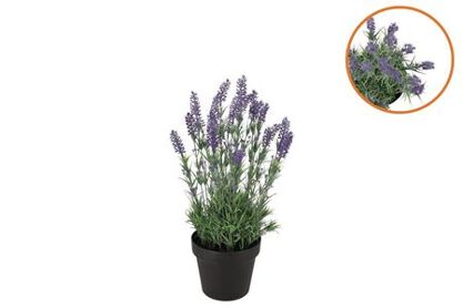 Silk Lavender Purple In Pot Black S 15x15x20cm