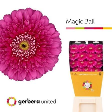 Ge Gb Magic Ball Diamond