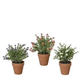 Plante flowers d07*21cm