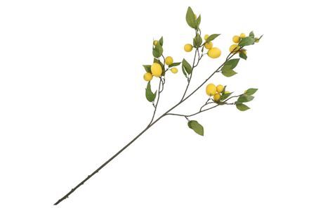 Silk Lemon Branch Yellow 135cm Nm