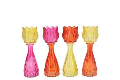 Bicolore Dutch Orange Mix Tulip Vase Ass 7x18cm Nm
