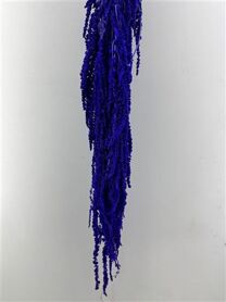 Pres Amaranthus Caud Dark Lavender Bunch