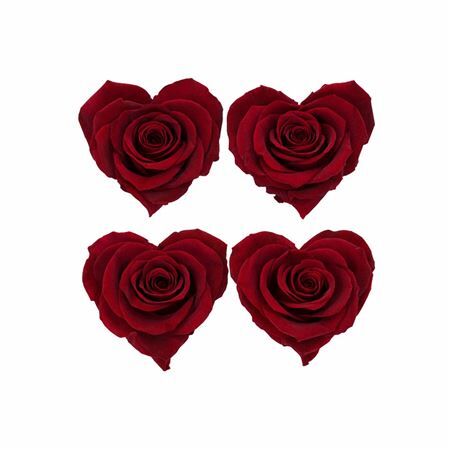 Ro Pres Hearts Red