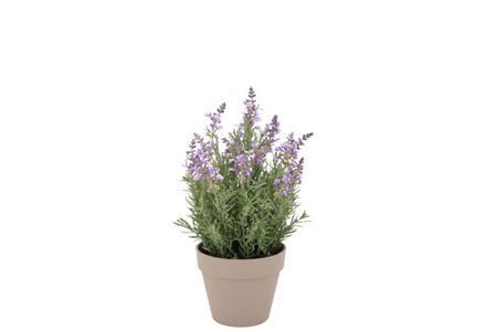 Silk Lavender Purple Pot Terra S 17x17x23cm