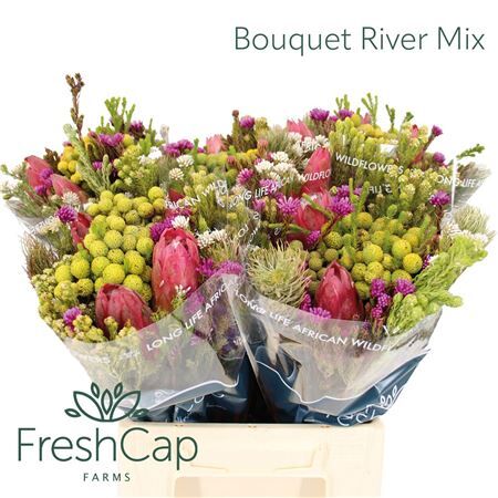 Bouquet River Mix