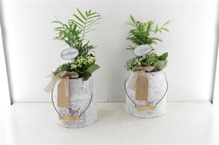 Arr2 Td Melkbus - Wit/roze