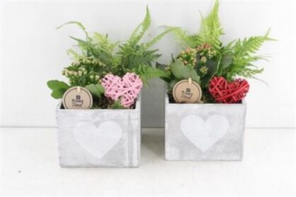 Arr2 Pl Kist 4kant Met Hart