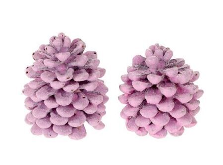 Pinecone Pinea Wax Sugared 2 Pcs Slv L19w12h14