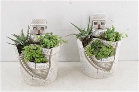 Arr3 Sn Ker. Pot Mini Garden Plant Mix