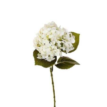 Hydrangea 63cm