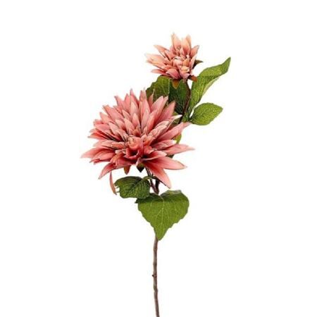 Dahlia Karma 71cm