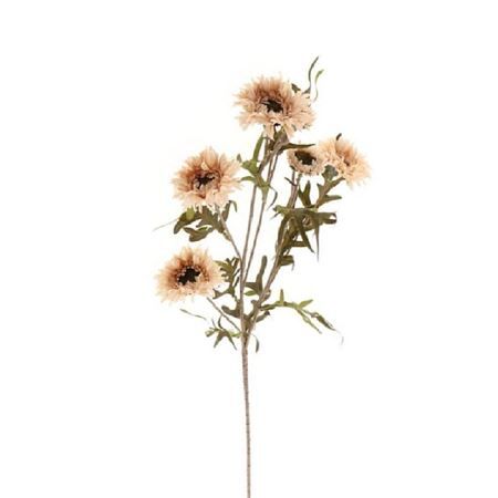 Daisy 80cm