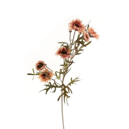 Daisy 80cm