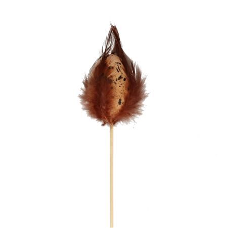 50cm Kievitsei+veren 6cm