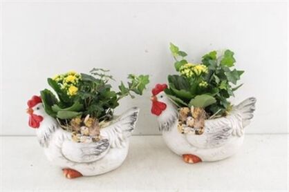 Arr2 Mb Keramiek Kip Middel X3