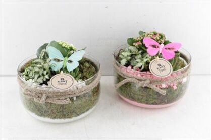 Arr2 Pl Bose Middel Met Touw - Roze/wit