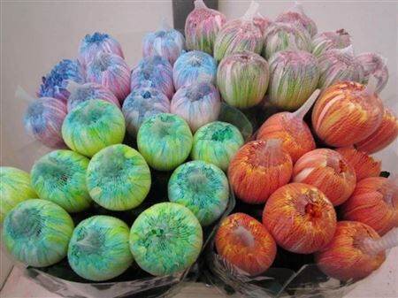 Chr G Antonov Mix 2 Kleurig