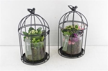 Arr2 Mb Vogelkooi Indoor - Roze/wit