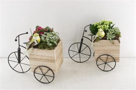 Arr2 Td Driewieler - Wit/roze