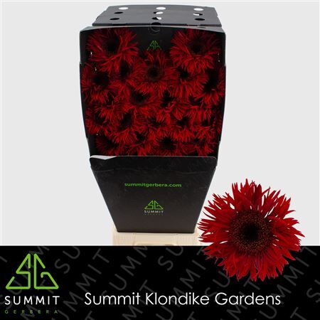 Ge Ms Larsson Diamond