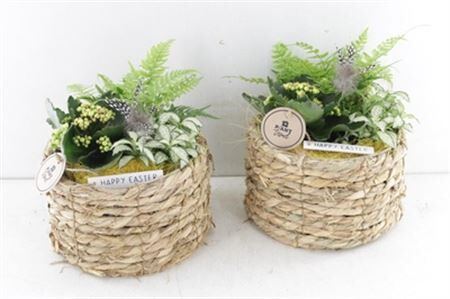 Arr2 Pl Mand Happy Easter - Geel