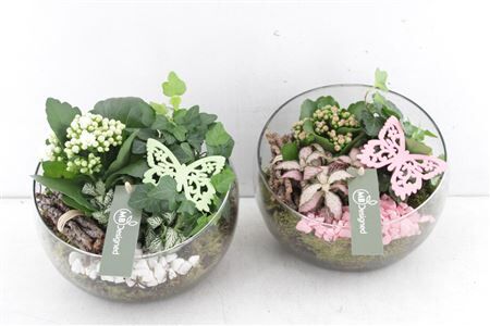 Arr2 Mb Halve Maan Glas - Roze/wit