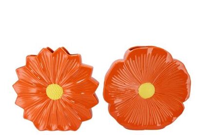 Bloom Orange Vase Daisy Ass 40x11x40cm Nm