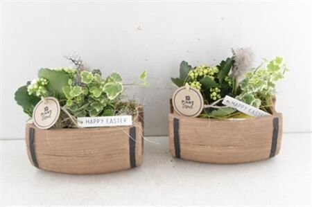 Arr2 Pl Ker. Ton Liggend - Geel/wit