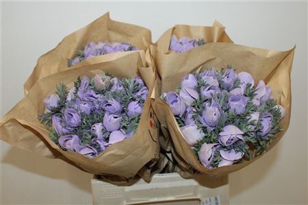 Anem Marianne Powder Lavender