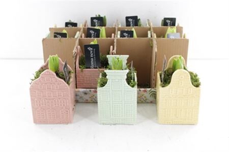 Arr4 Hyacint Rn1512 - Ker. Lullaby Lodge