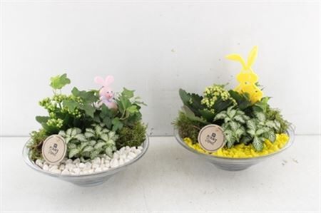 Arr2 Pl Glas Schaal 23cm - Geel/wit