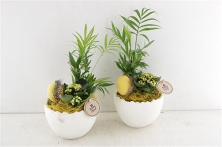 Arr2 Pl Ker. Kartel Ei Indoor - Geel